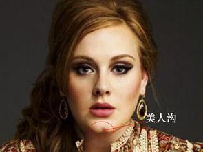 欧美明星血统,探寻星光背后的家族传奇